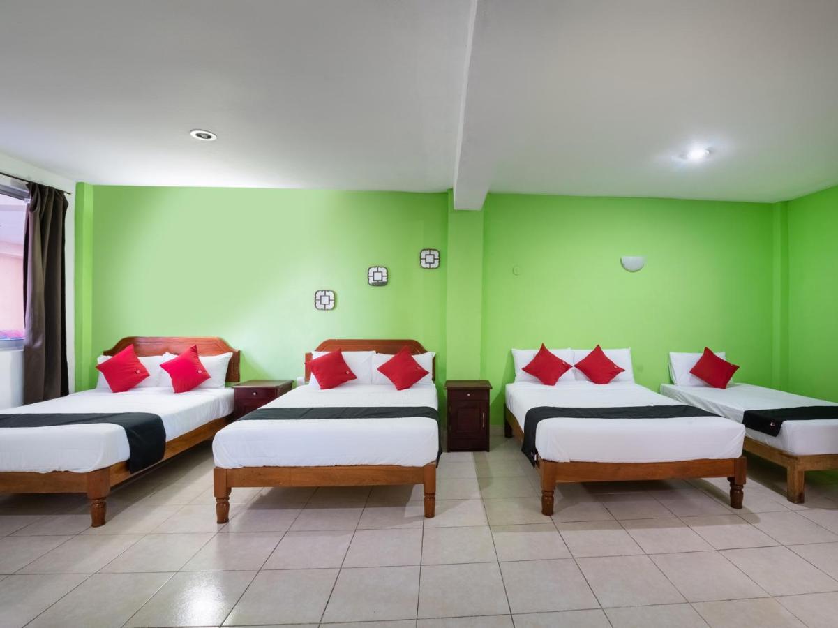 Capital O Hotel El Faisan Y El Venado 신데 델 카르멘 외부 사진
